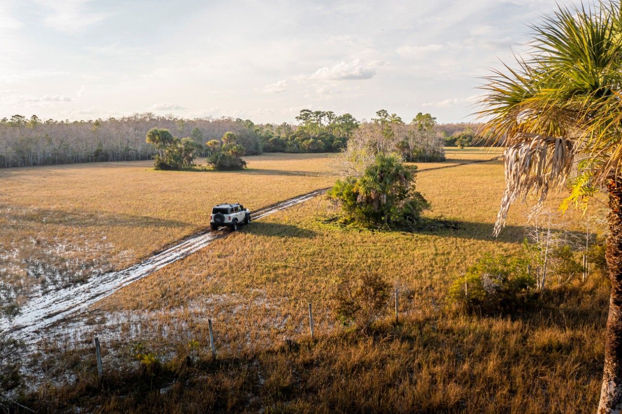 ford bronco everglades in the mud